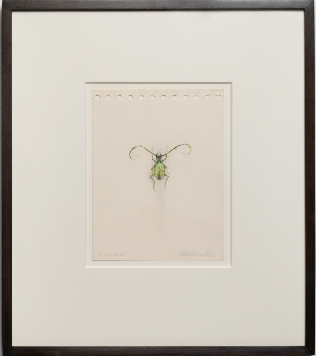 John Alexander Little Green Beetle, 2023