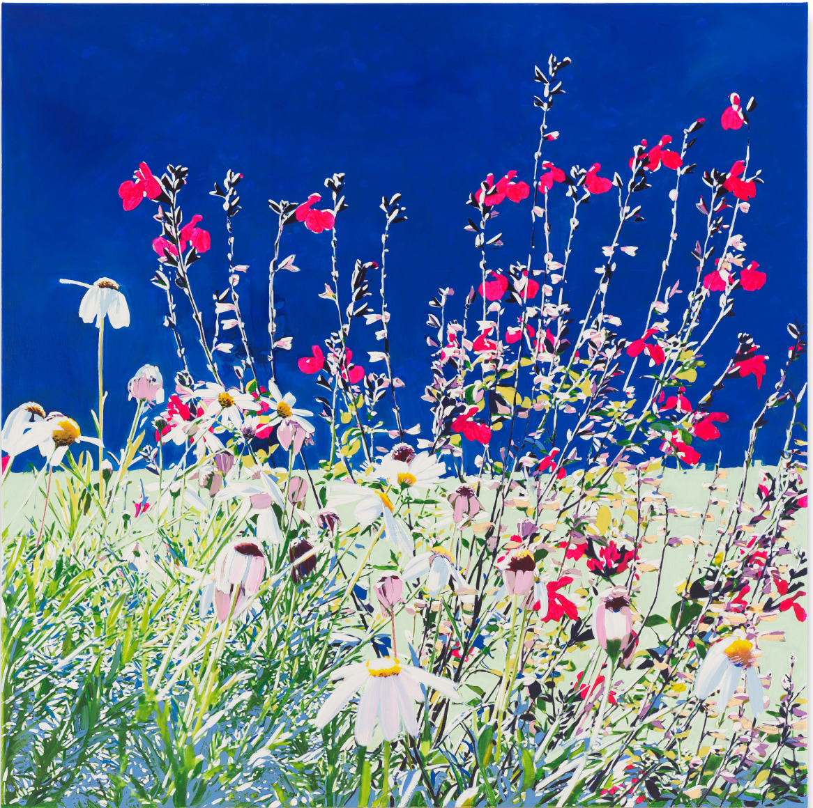 Isca Greenfield-Sanders Red Wildflowers, 2025