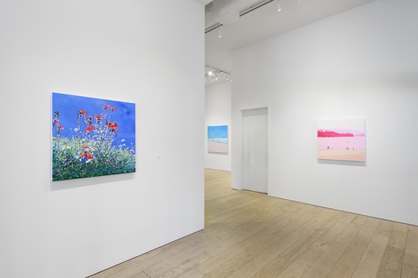 Installation photography by Shaun Roberts