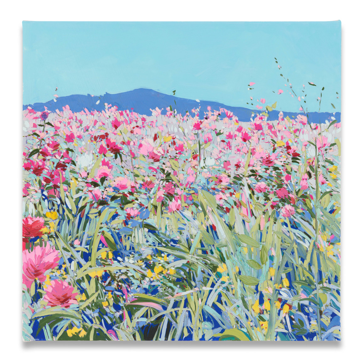 Isca Greenfield-Sanders Pink Wildflower Field, 2024