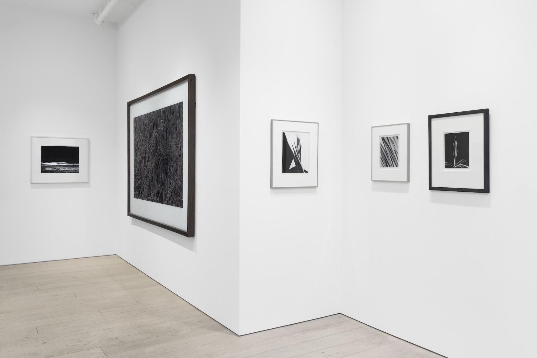 Installation photography by Shaun Roberts.