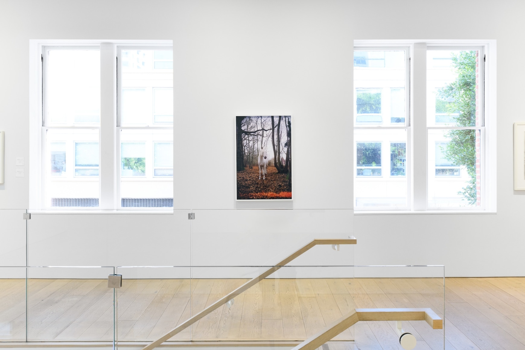 Installation photography by Shaun Roberts.