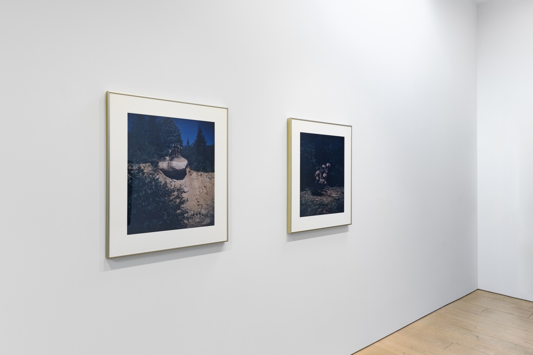 Installation photography by Shaun Roberts.