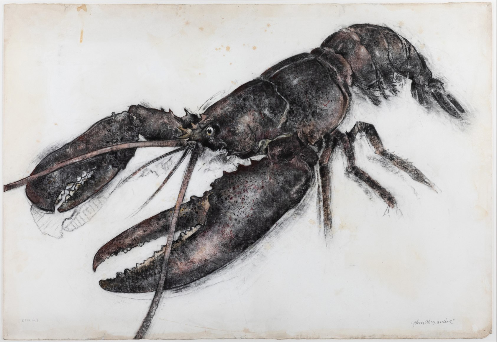 John Alexander The Mighty Crustacean, 2019