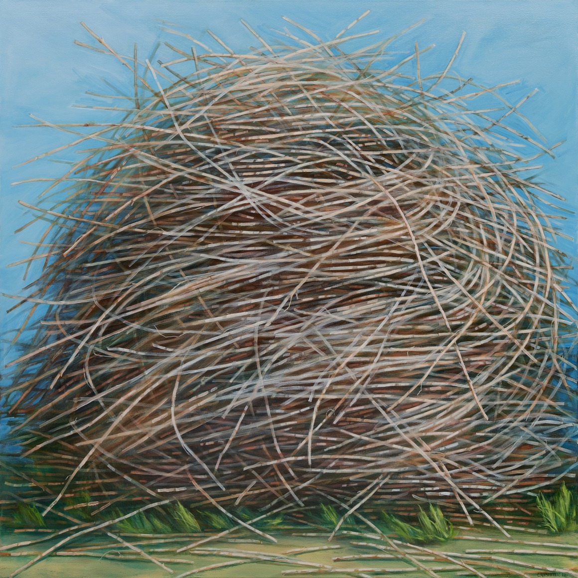 Clare Kirkconnell Pruning, 2022