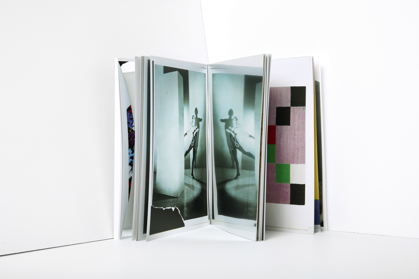 Nick Mauss, Reversible Surfaces, 2017