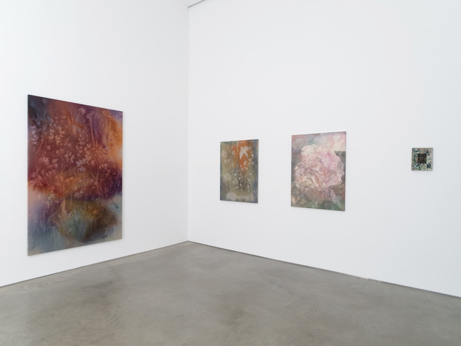 Installation view:&nbsp;Project Room: Sam Falls,&nbsp;Preservation,&nbsp;303 Gallery, New York, 2021