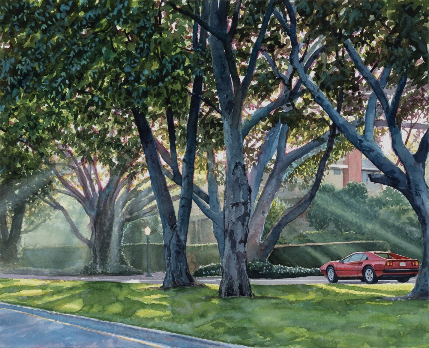 Tim Gardner, Ferrari, Morning Light