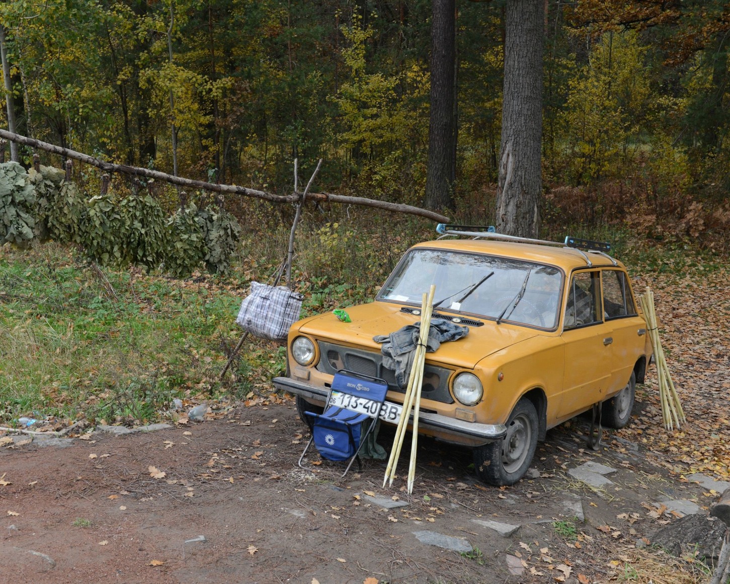 Stephen Shore, Shnuriv Lys, Ukraine, October 16, 2013