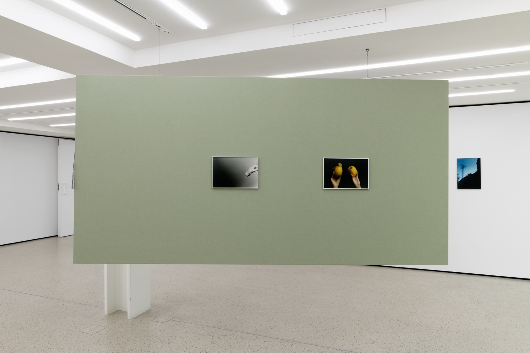 Installation view: Katinka Bock, Der Sonnestich, Fondation Pernod Ricard, Paris, February 13 - April 29, 2023. Photo: Aurélien Mole