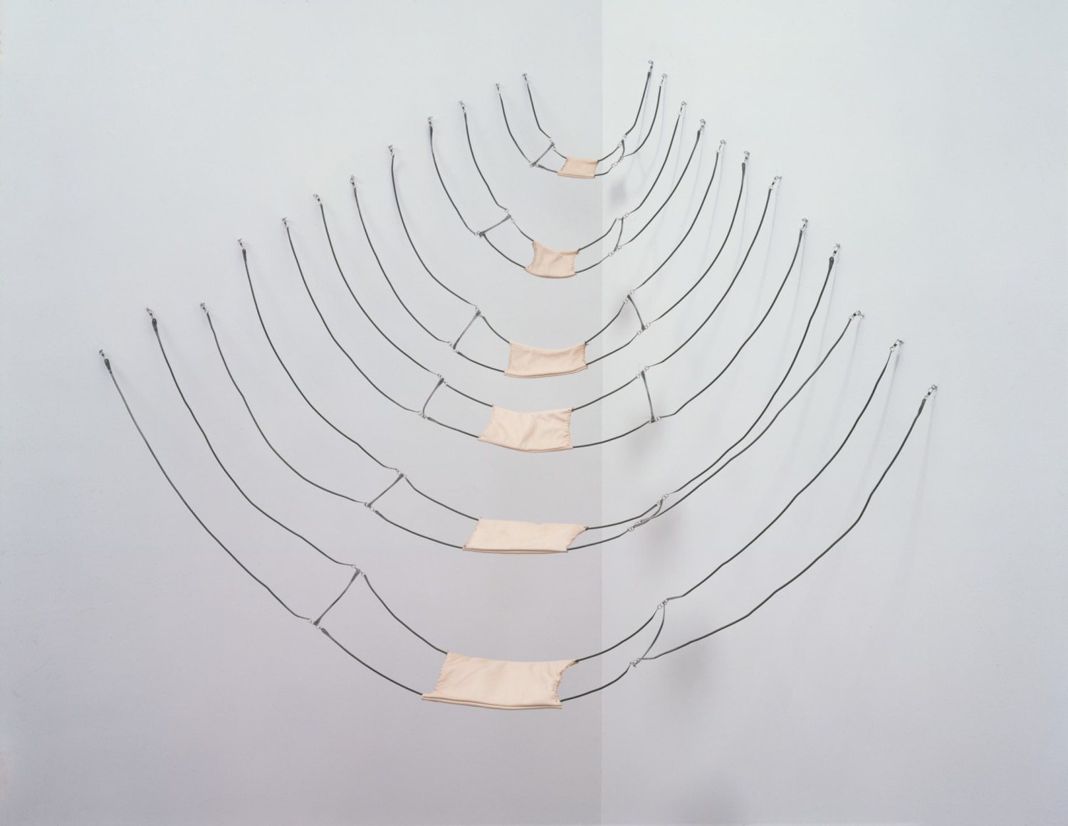 Liz Larner, To the Wall