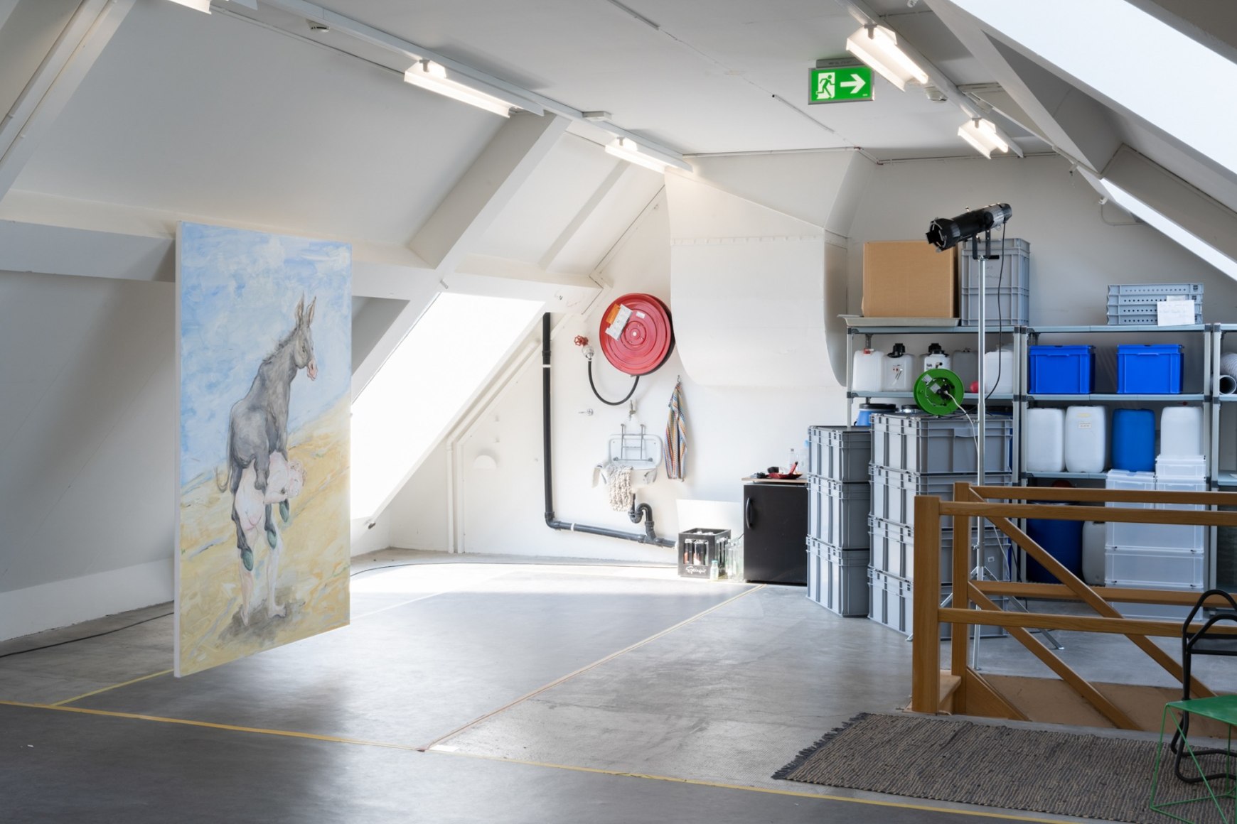 Installation view: Tanya Merrill, Parcours, Natural History Museum Basel, 2023. Photo: Finn Curry