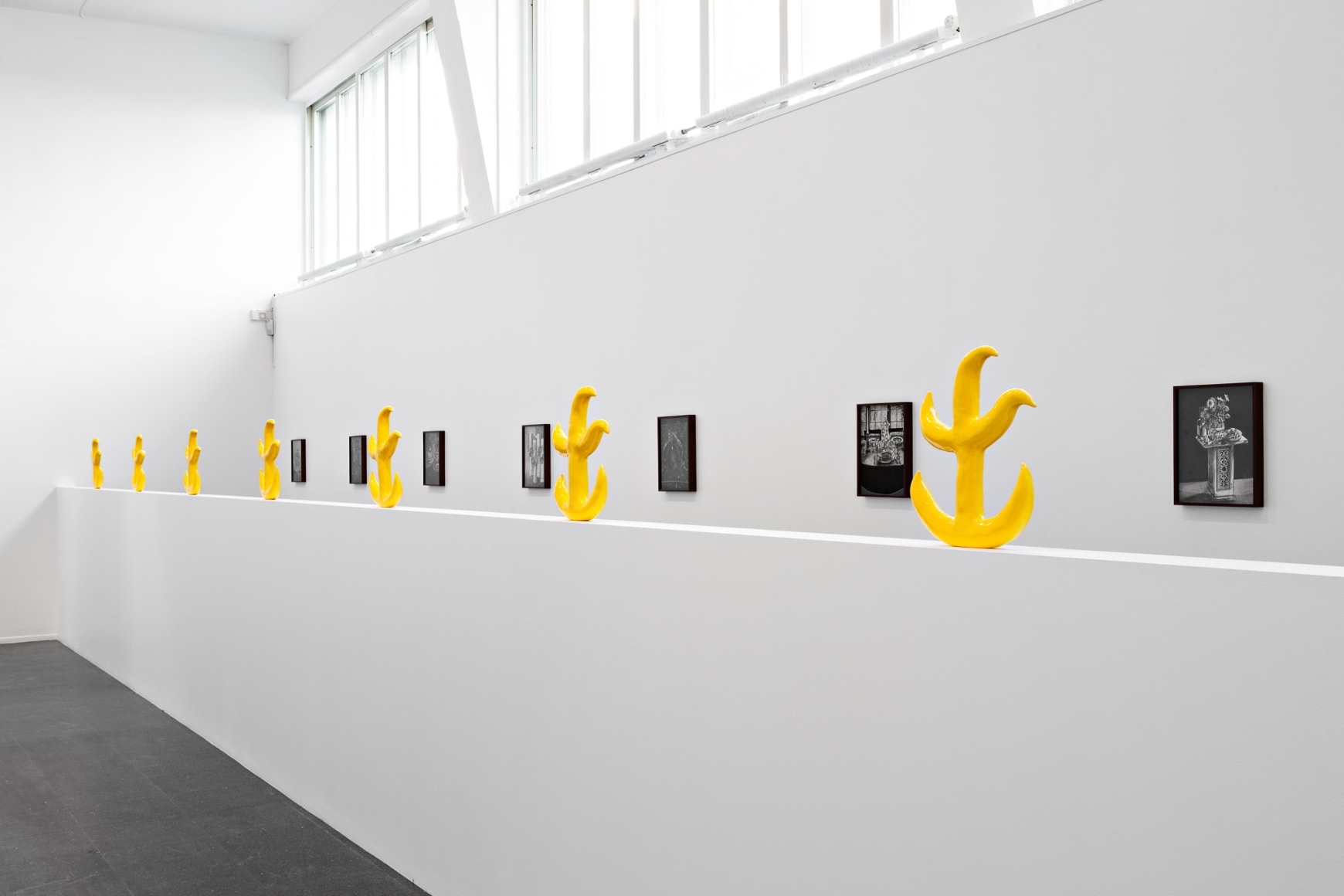 Elad Lassry, Installation view: Kunstnernes Hus, Oslo, 2012