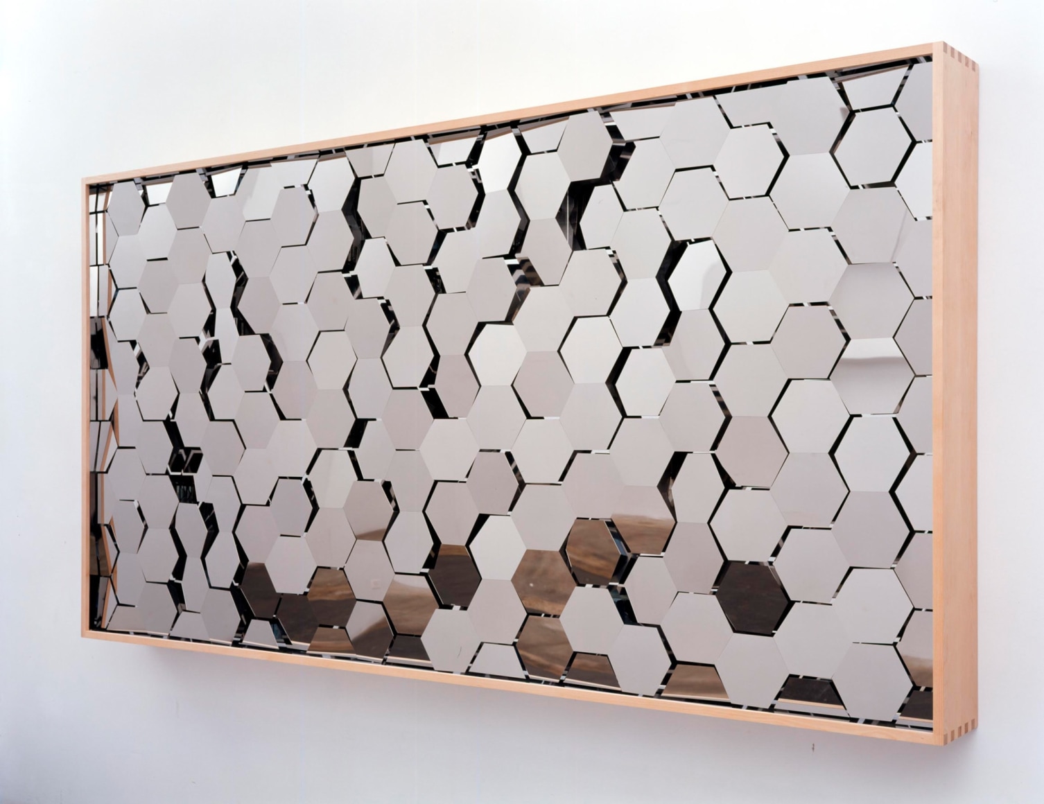 Doug Aitken, wilderness, 2006
