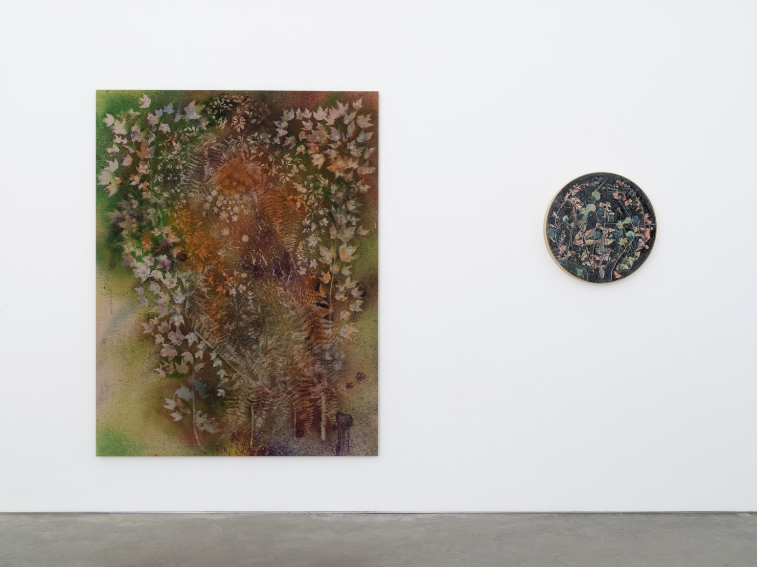 Installation view:&nbsp;Project Room: Sam Falls,&nbsp;Preservation,&nbsp;303 Gallery, New York, 2021