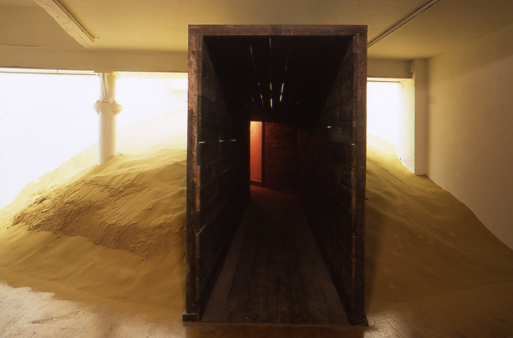 Mike Nelson Triple Bluff Canyon,&nbsp;2004