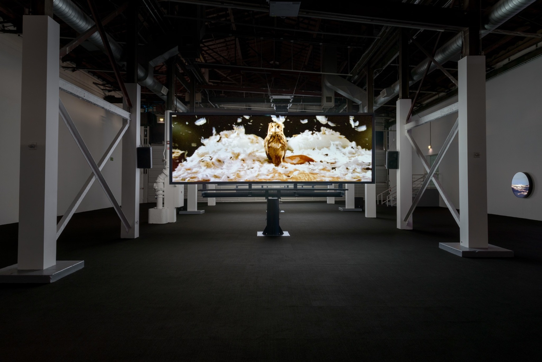 Doug Aitken, migration (empire), 2008, MOCA Los Angeles, 2016