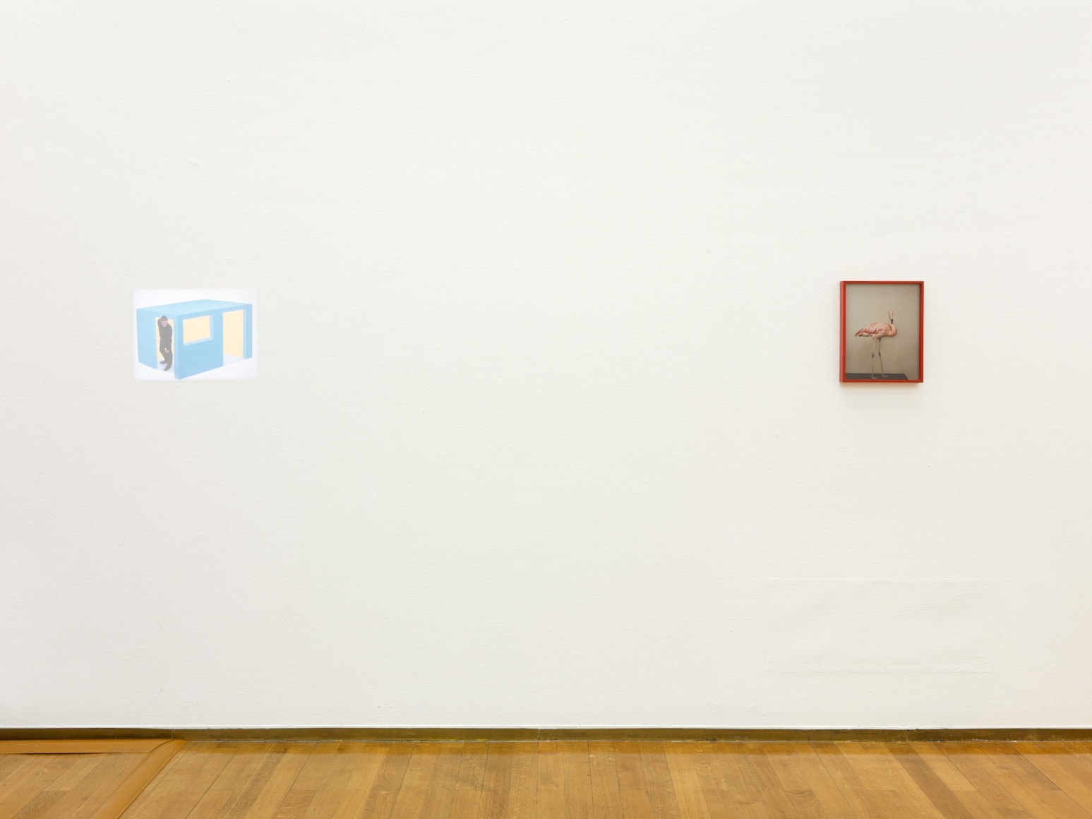 Elad Lassry, Installation view: Padiglione d’Arte Contemporanea, Milan, 2012