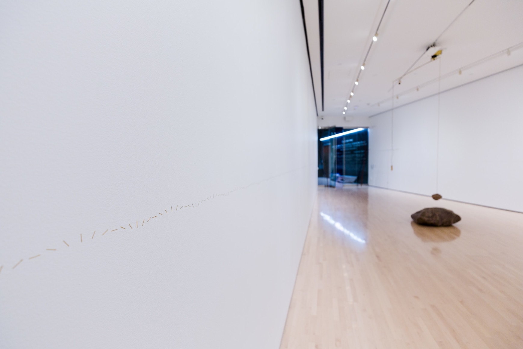 Installation view: Field Day: Alicja Kwade, Eli and Edythe Broad Art Museum, 2017