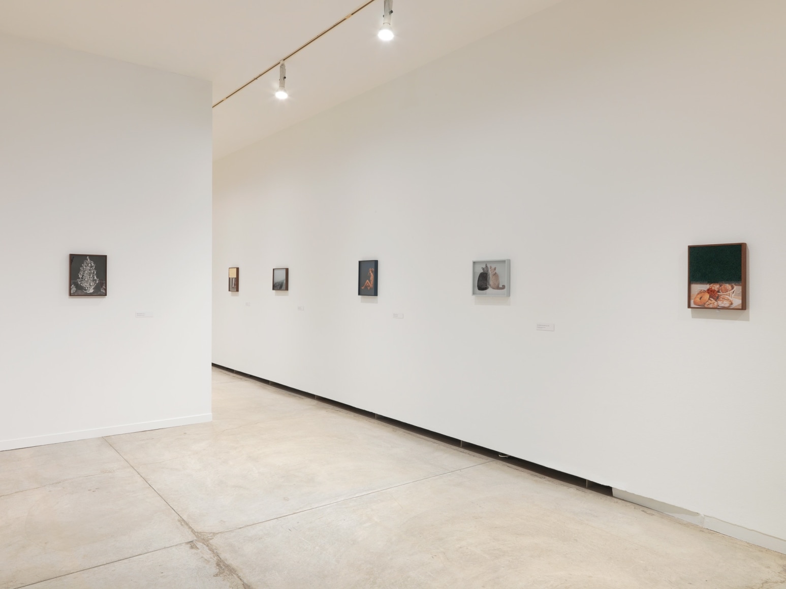 Installation view of Elad Lassry, exhibition at the Vancouver Art Gallery, June 24 to October 1, 2017