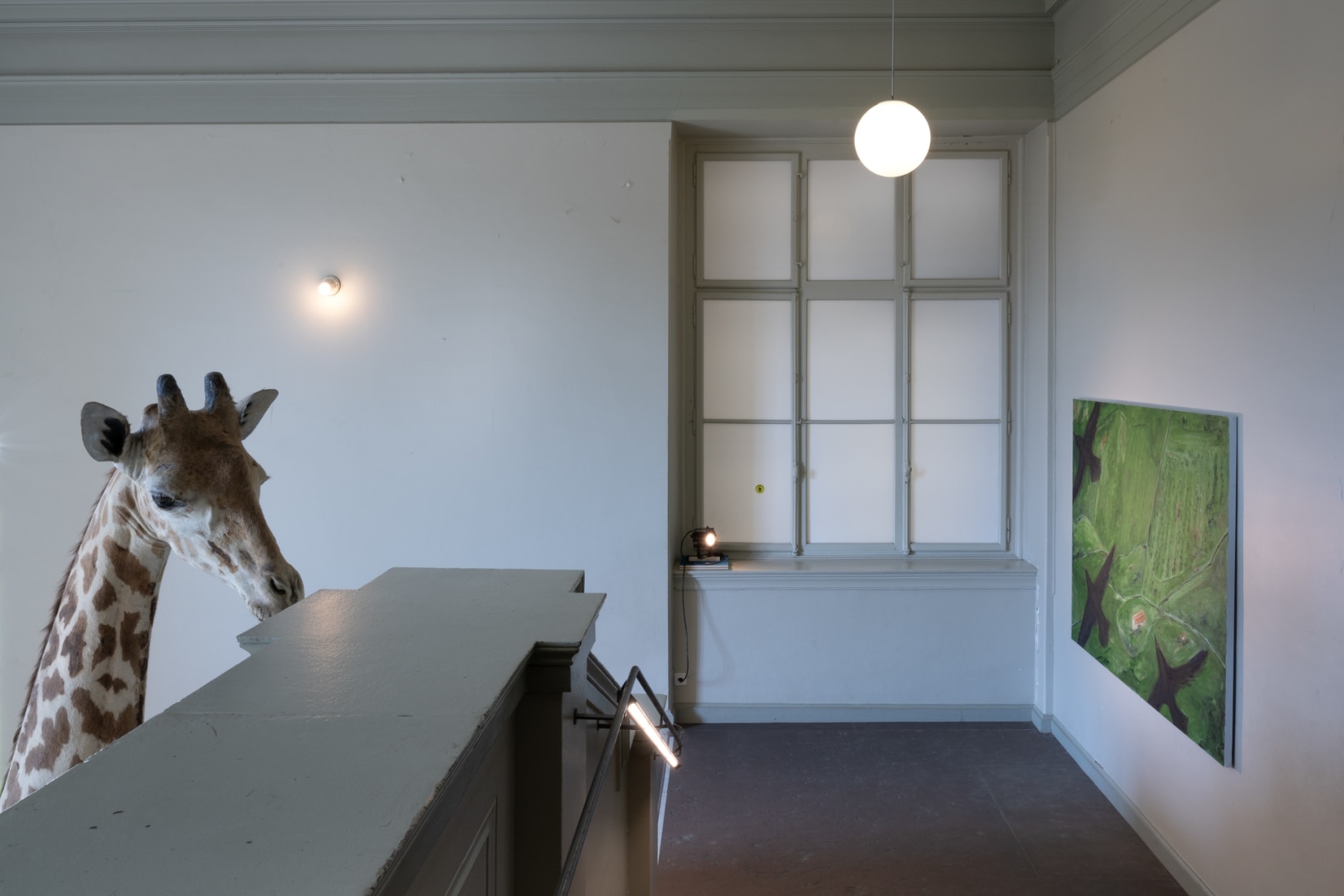 Installation view: Tanya Merrill, Parcours, Natural History Museum Basel, 2023. Photo: Finn Curry