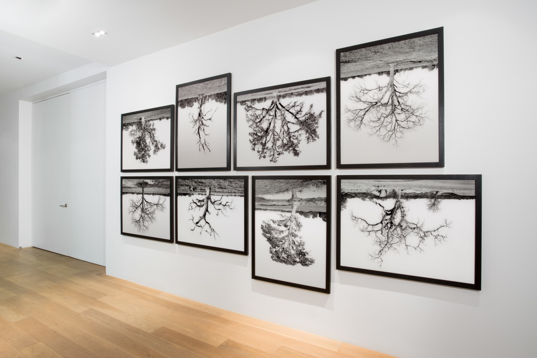 Rodney Graham, Collected Works, Installation view: Rennie Collection, Vancouver, 2014