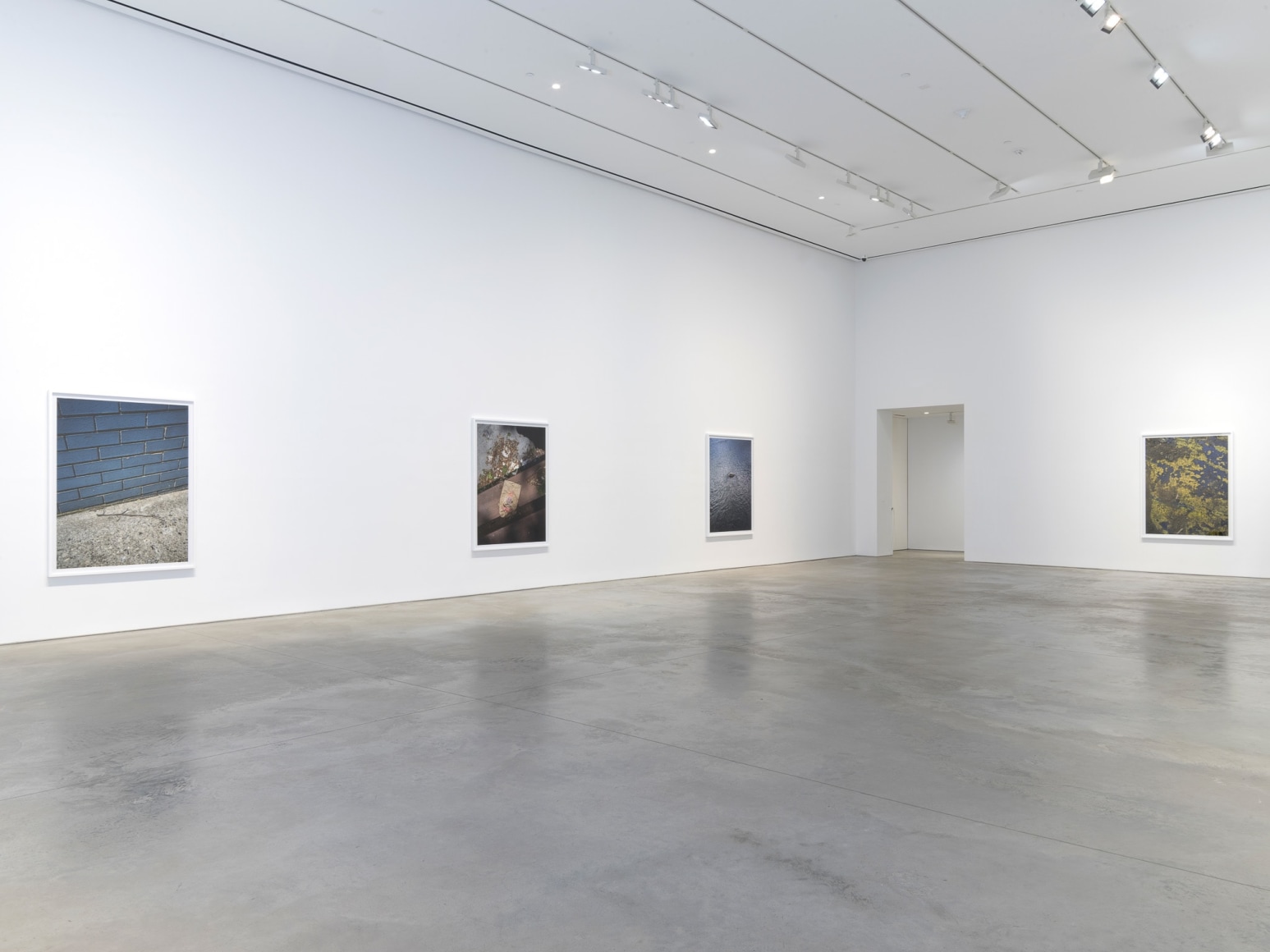 Installation view: Stephen Shore, 303 Gallery, New York, 2018