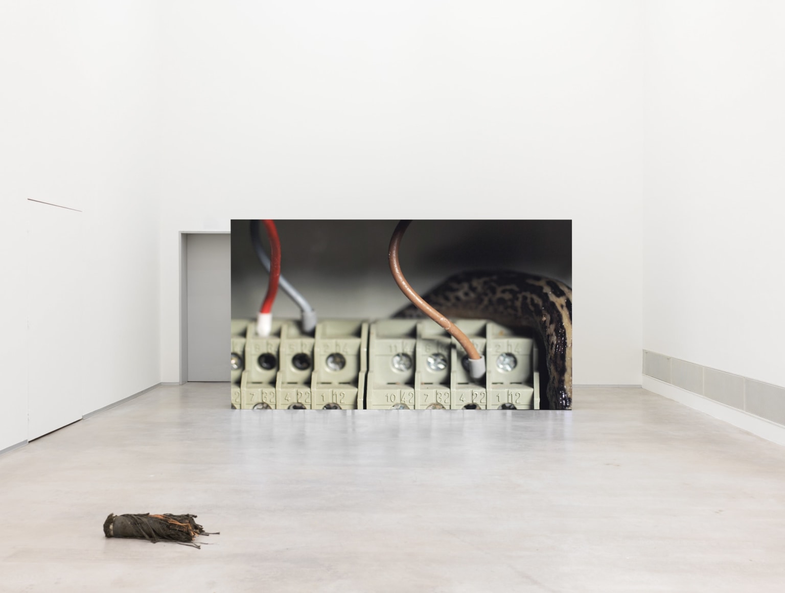 Exhibition view „Nina Canell. Tectonic Tender“, Berlinische Galerie, Foto: © Nick Ash