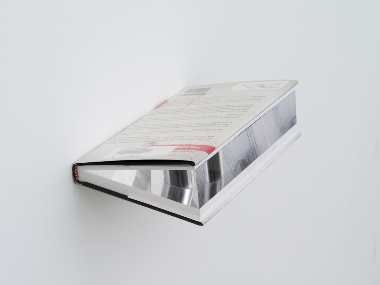 Jacob Kassay, Eternal Neither, 2013
