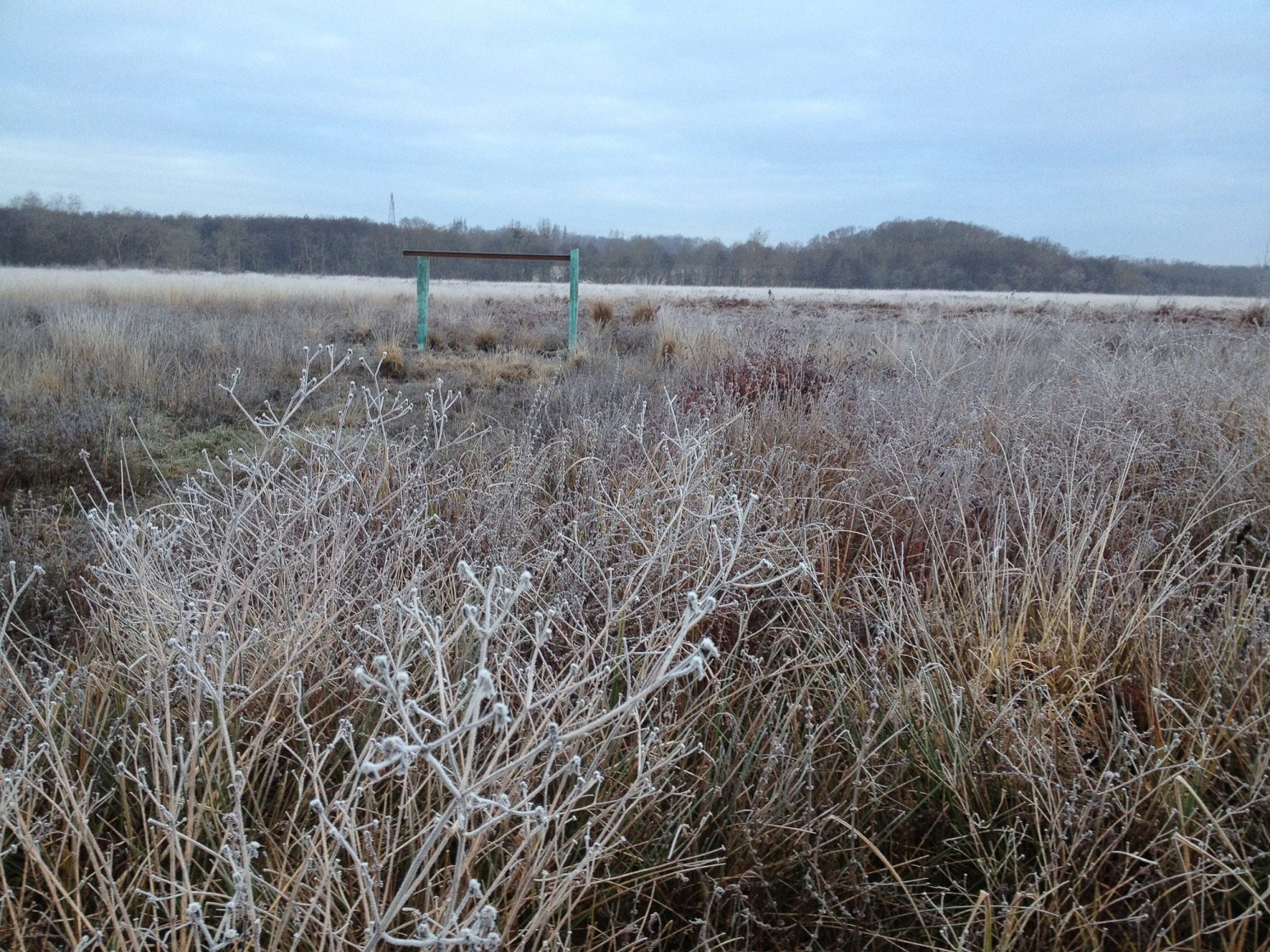 Installation view, Katinka Bock, Tomorrow&#039;s Sculpture, La Petite Escal&egrave;re, Paris, 2014, Photo:&nbsp;Dominique&nbsp;Haim