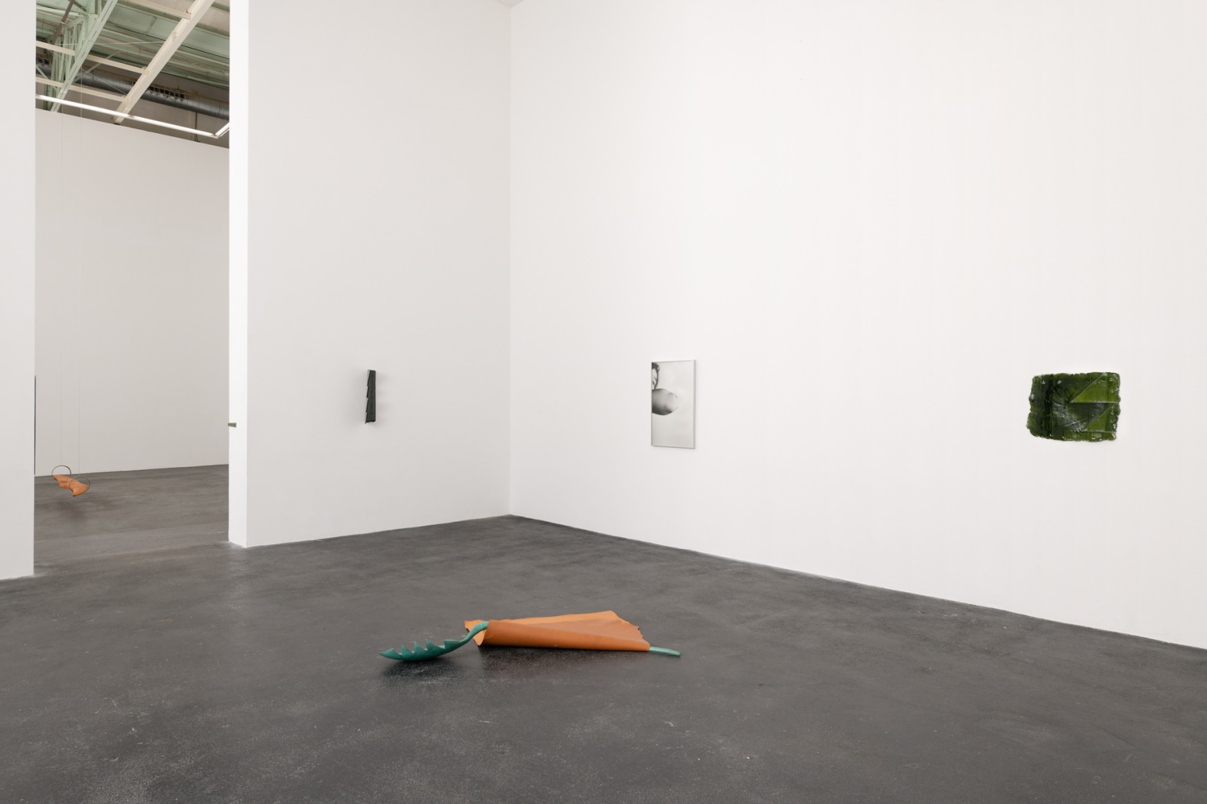Installation view: Katinka Bock: Silver, Crac Occitanie, Sète, 2023.
