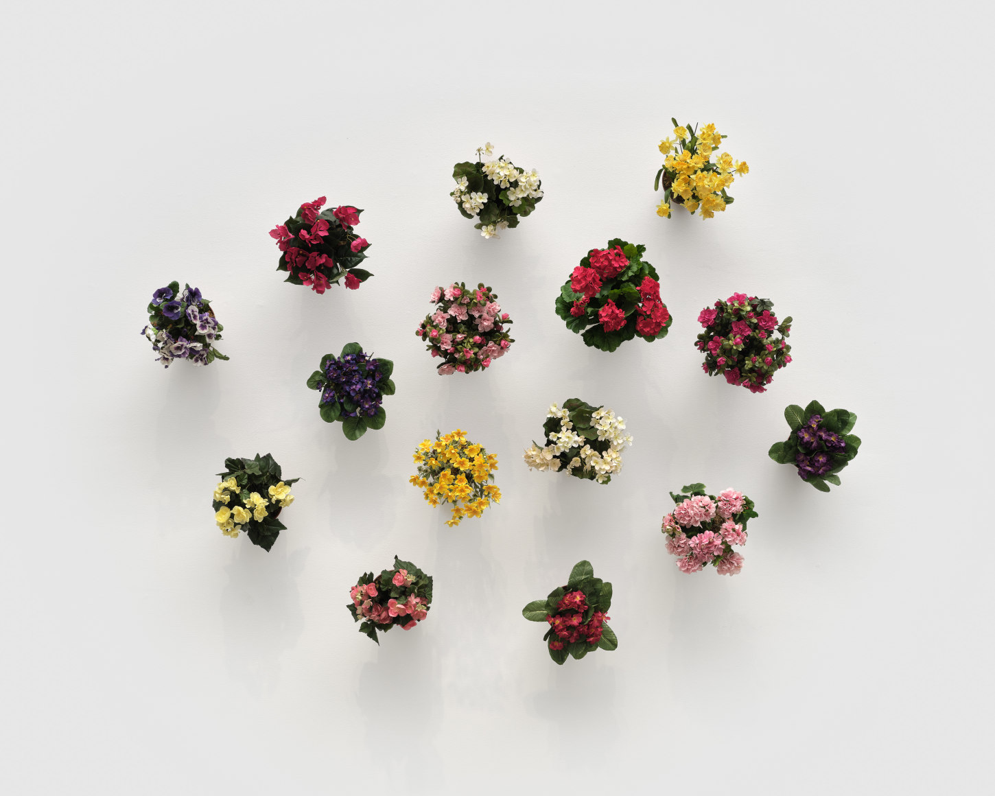 Hans-Peter Feldmann, Blument&ouml;pfe an der Wand