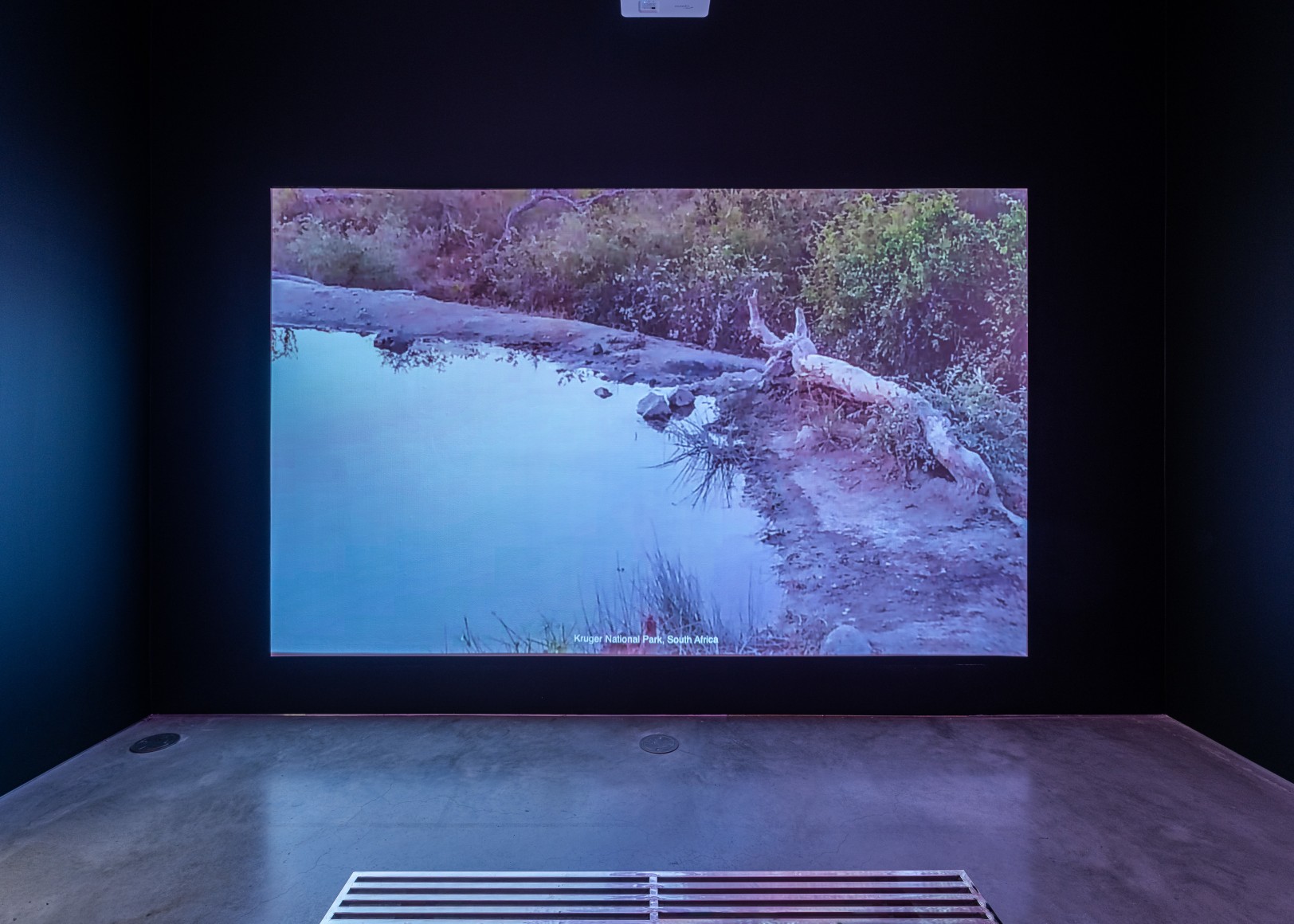 Exhibition view: Sam Falls, 303 Gallery, New York, 2023. Photo: Justin Craun