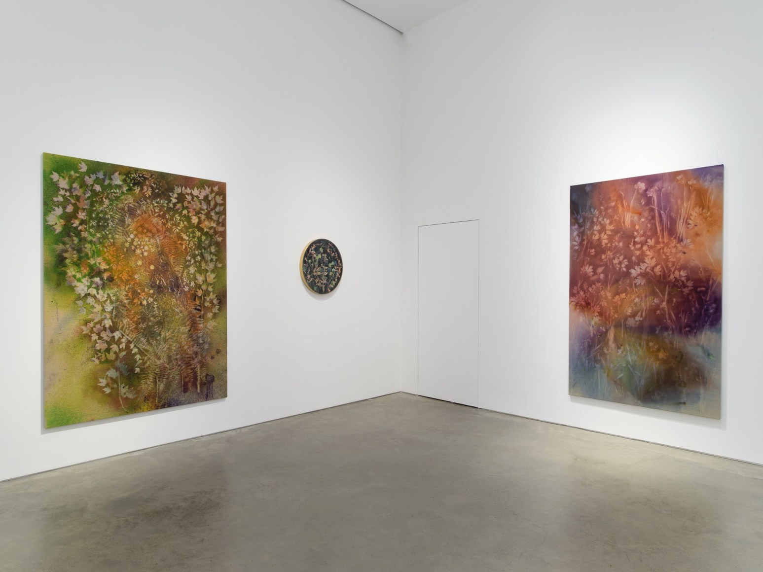 Installation view:&nbsp;Project Room: Sam Falls,&nbsp;Preservation,&nbsp;303 Gallery, New York, 2021