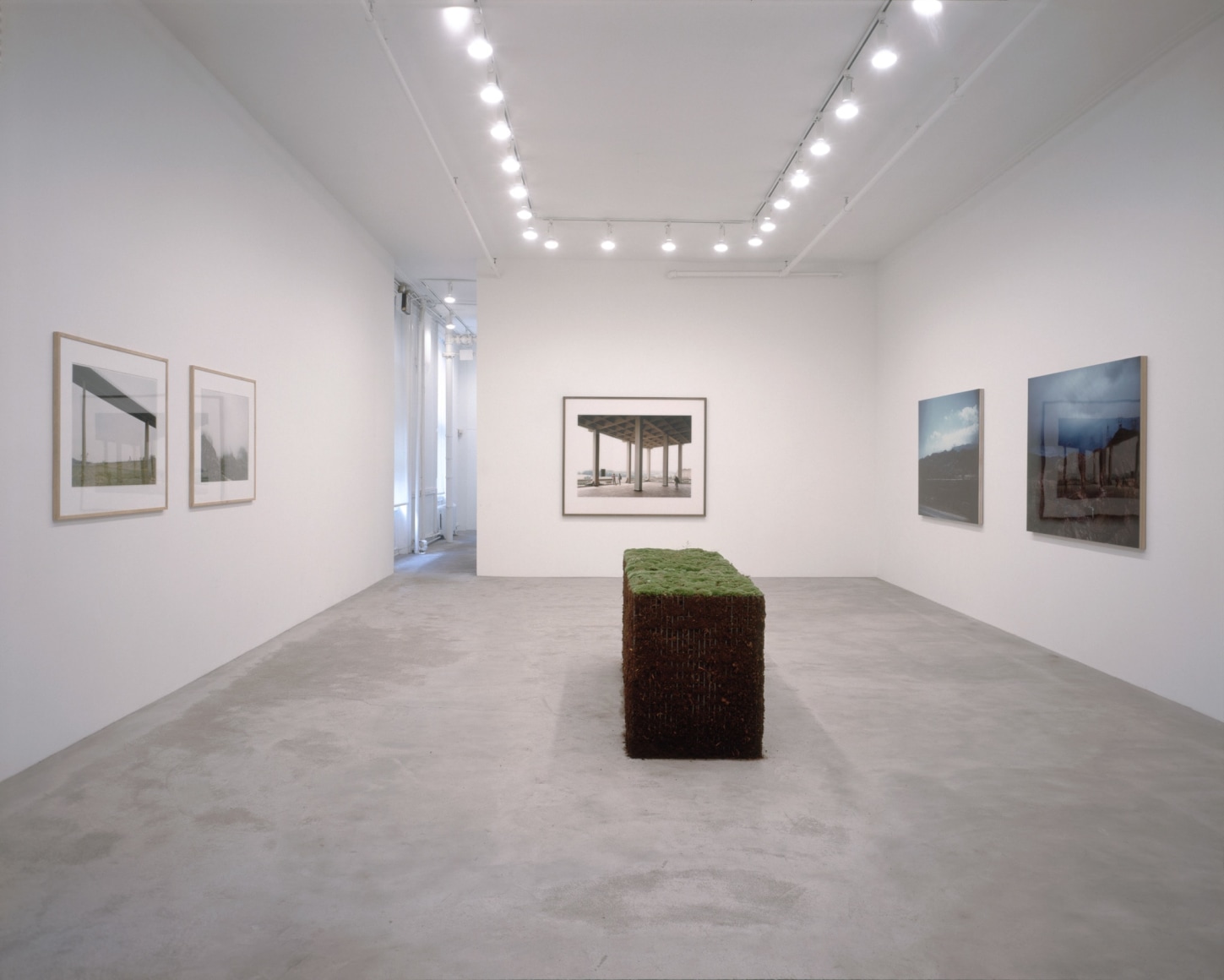 Installation view, Clegg &amp;amp; Guttmann, Andreas Gursky, Meg Webster