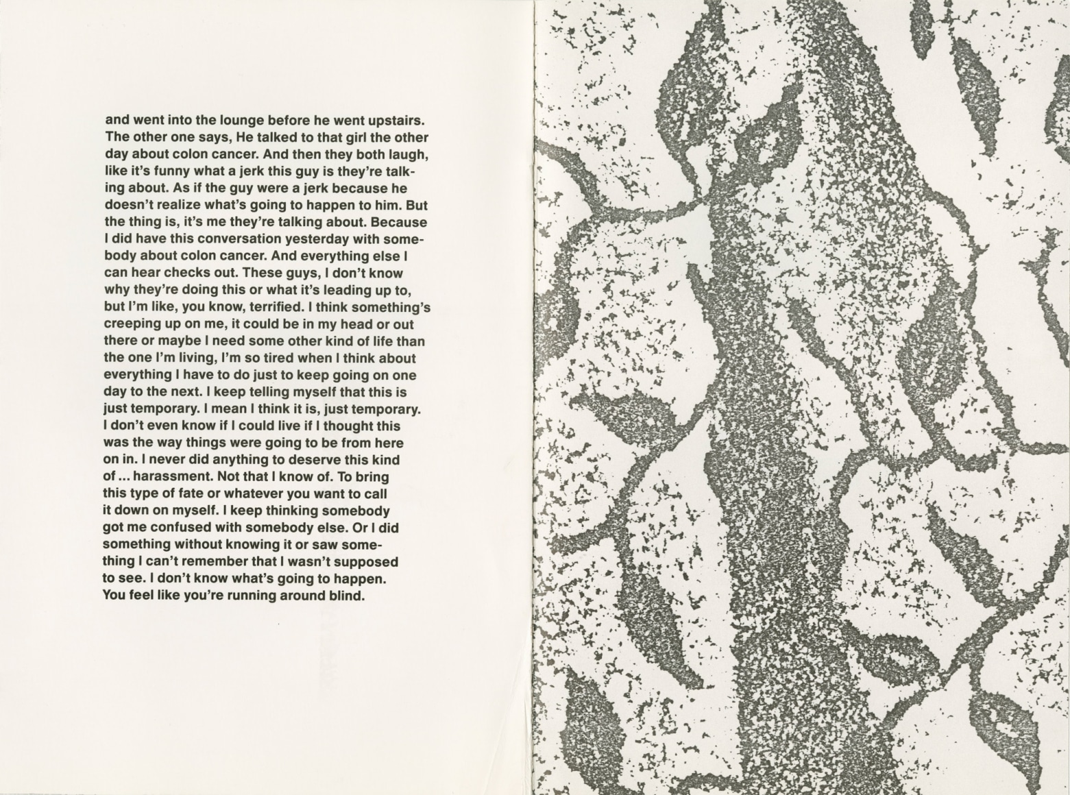 Robert Gober, Christopher Wool, A Project