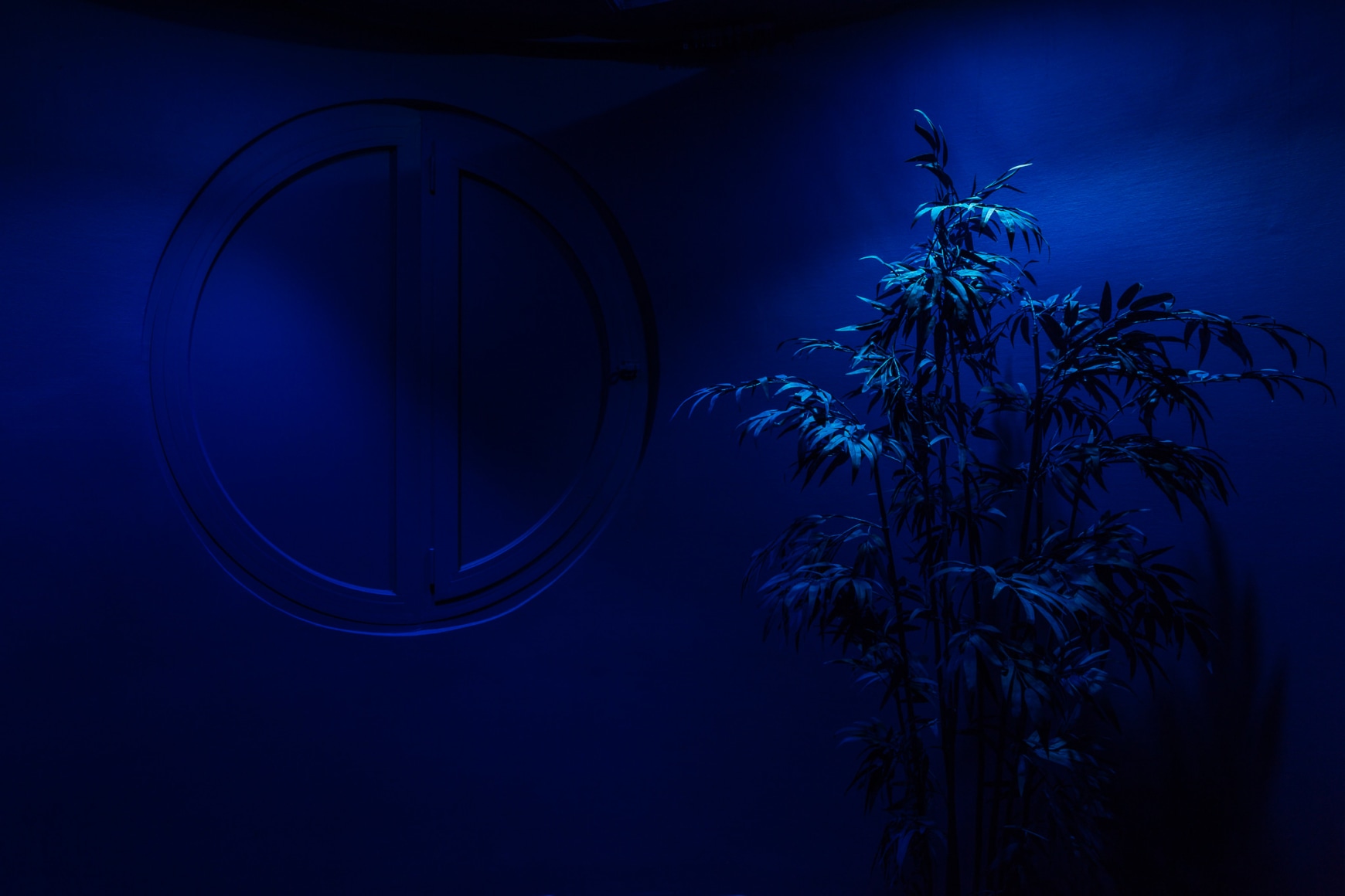 Mike Nelson, Cloak, 2016, Installation View: Nouveau Mus&eacute;e National de Monaco, off-site project UBS building