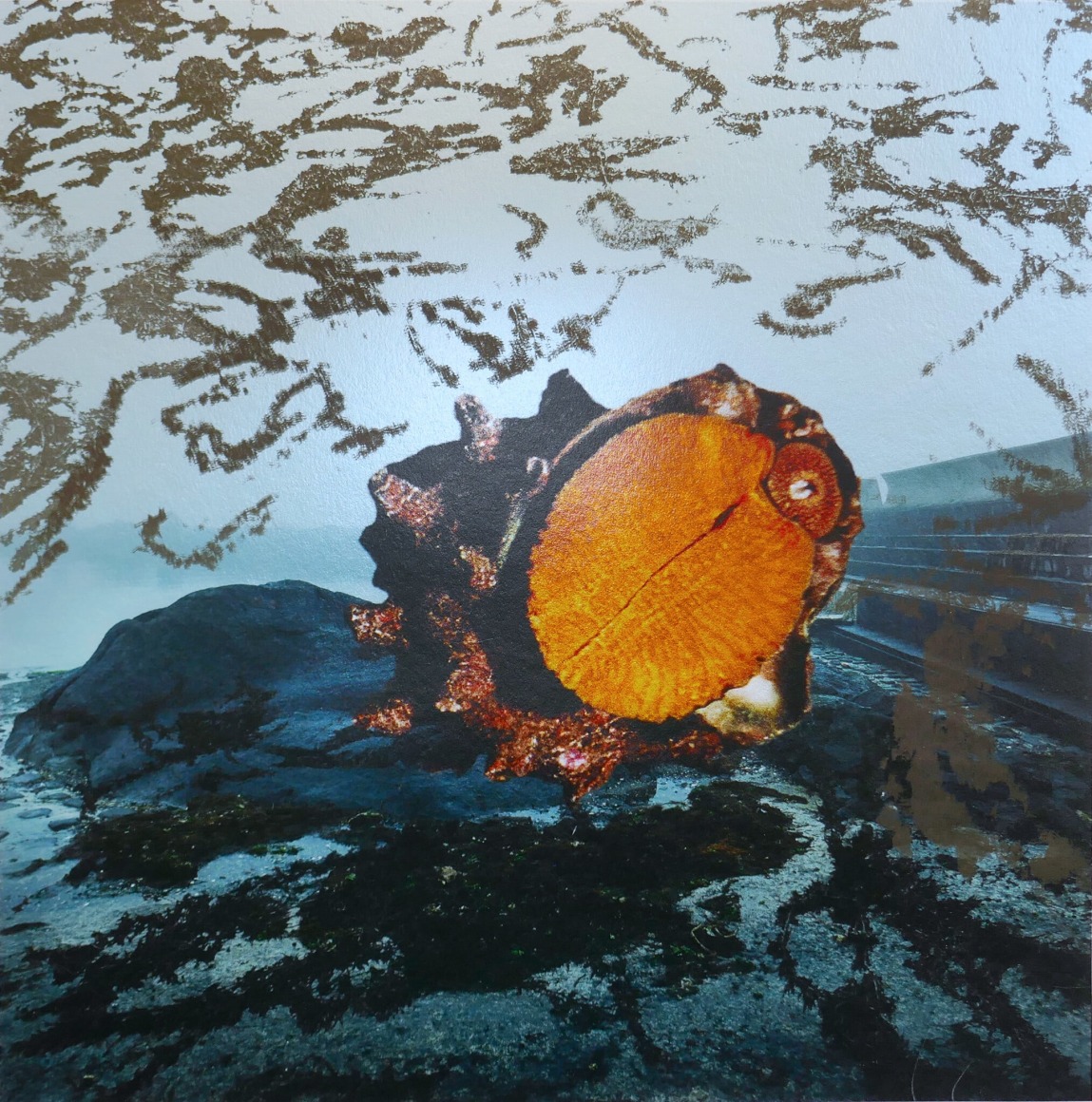 Jane & Louise Wilson, Untitled #17 'I'd Walk With You But Not With Her’ 