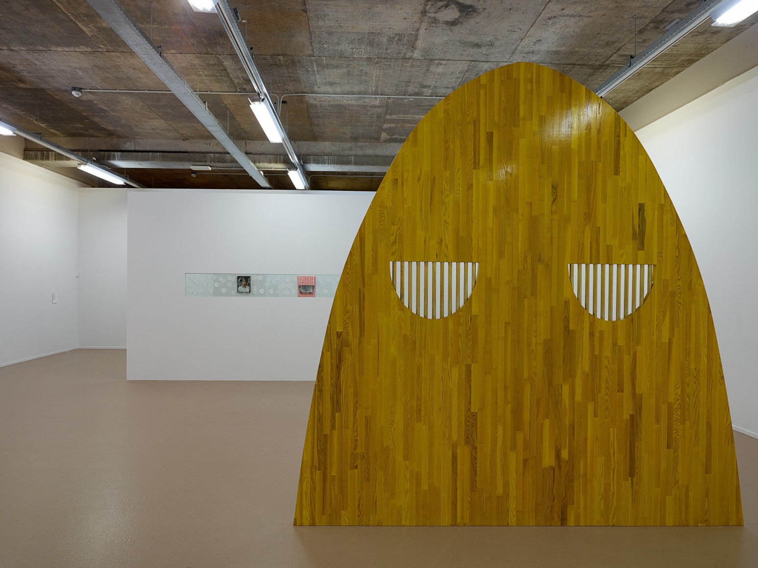 Elad Lassry, Installation view: Sensory Spaces 3, Museum Boijmans Van Beuningen, Rotterdam, 2014