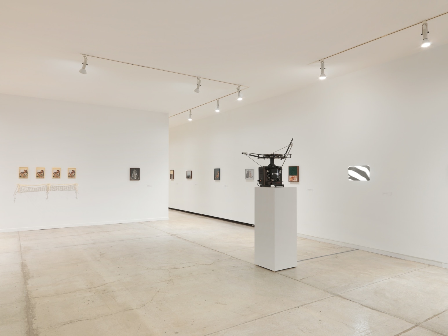 Installation view of Elad Lassry, exhibition at the Vancouver Art Gallery, June 24 to October 1, 2017