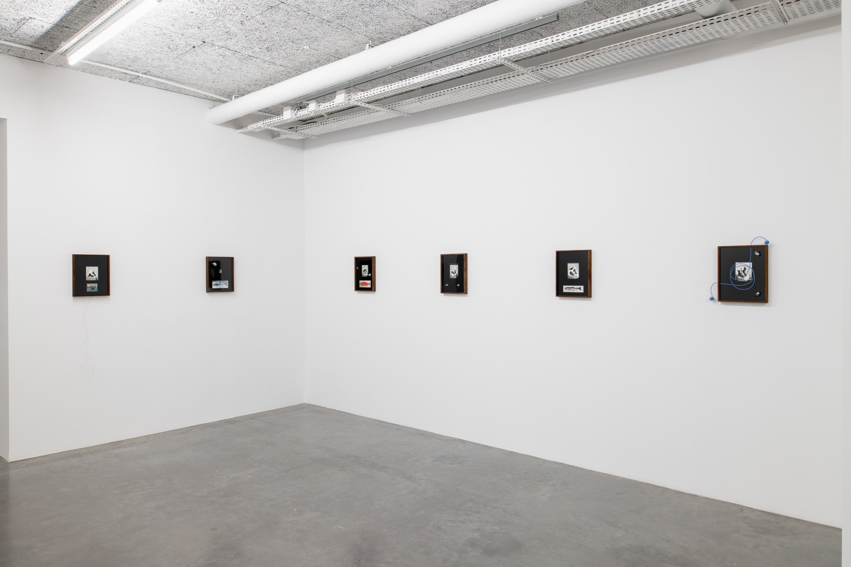 Installation view: Elad Lassry, Le Plateau, Paris, 2018. Photo: Martin Argyroglo