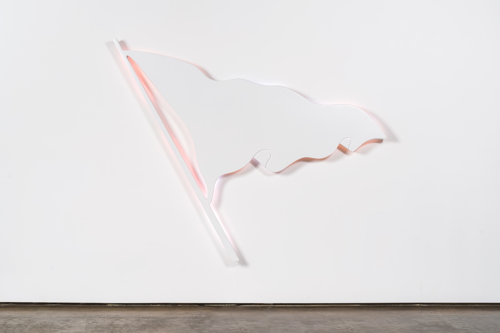 Doug Aitken, Flag (without borders)