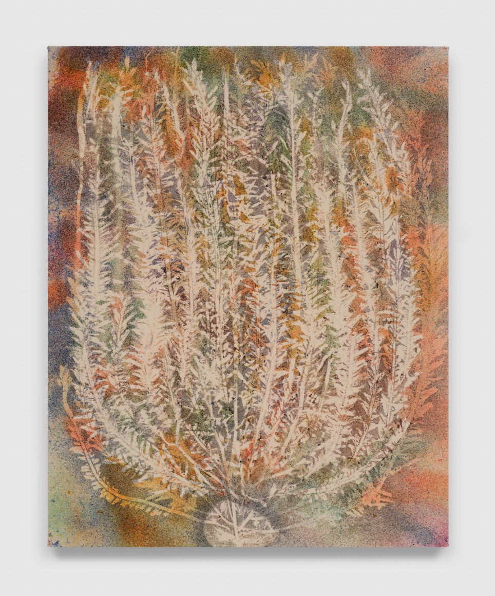 Sam Falls, Montana de Oro