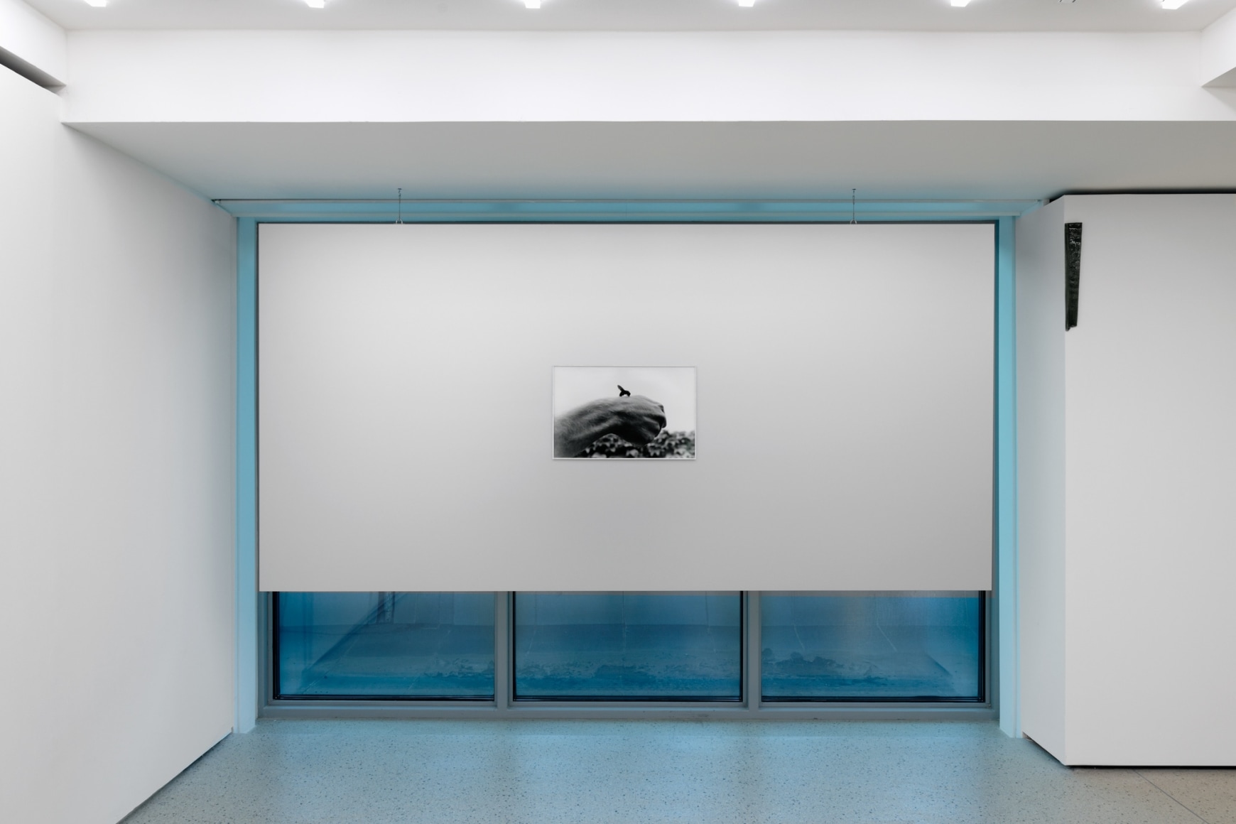 Installation view: Katinka Bock, Der Sonnestich, Fondation Pernod Ricard, Paris, February 13 - April 29, 2023. Photo: Aurélien Mole