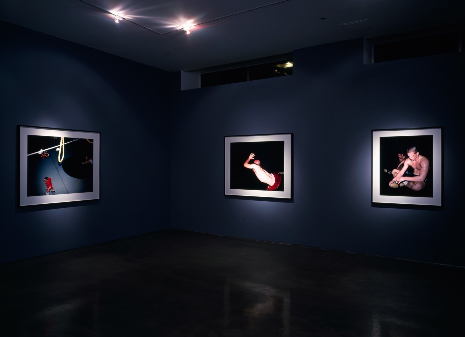 Collier Schorr 303 Gallery, New York