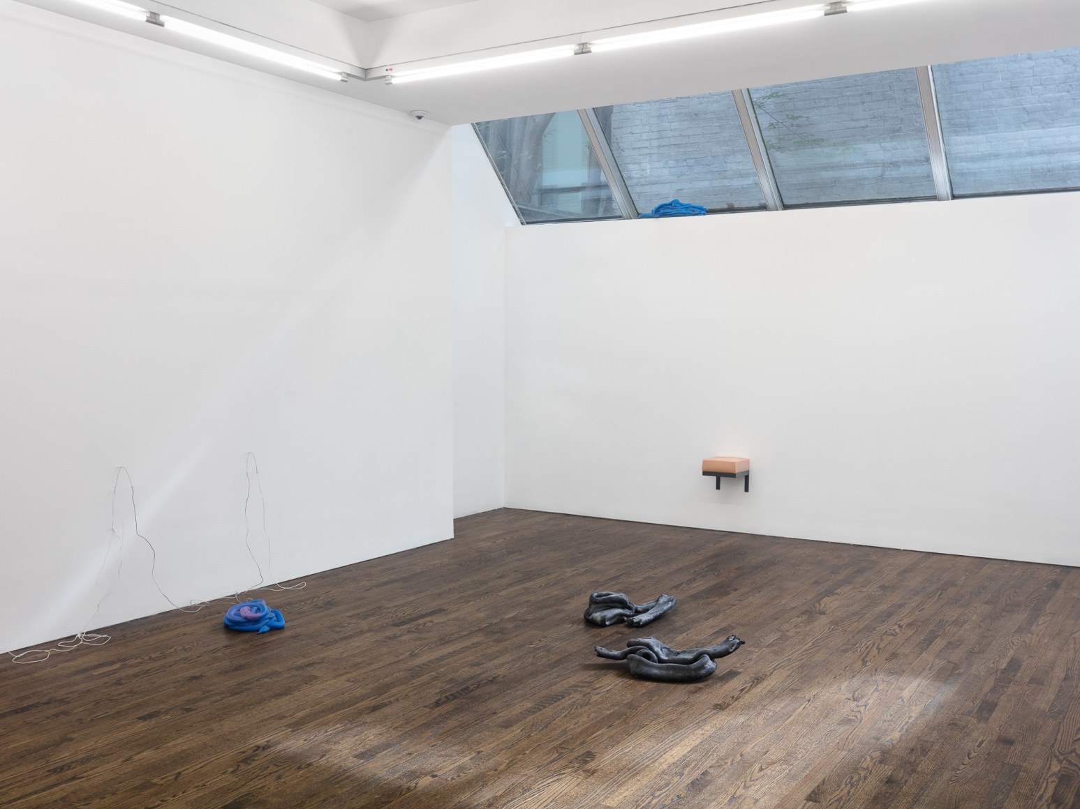 Nina Canell, Installation view:&nbsp;Viscosity,&nbsp;The Artist&rsquo;s Institute,&nbsp;2017, Photo:&nbsp;Charles Benton