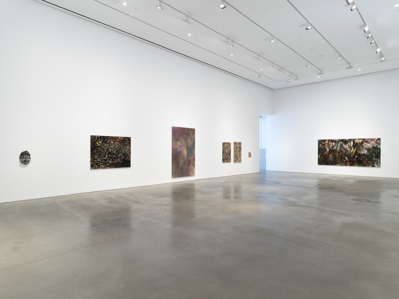 Exhibition view:&nbsp;Sam Falls, 303 Gallery, New York, 2020