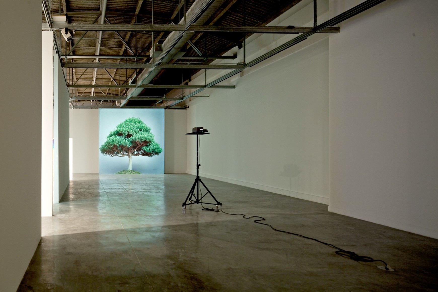 Ceal Floyer, Installation view: Auto Focus, Museum of Contemporary Art North Miami. 2010