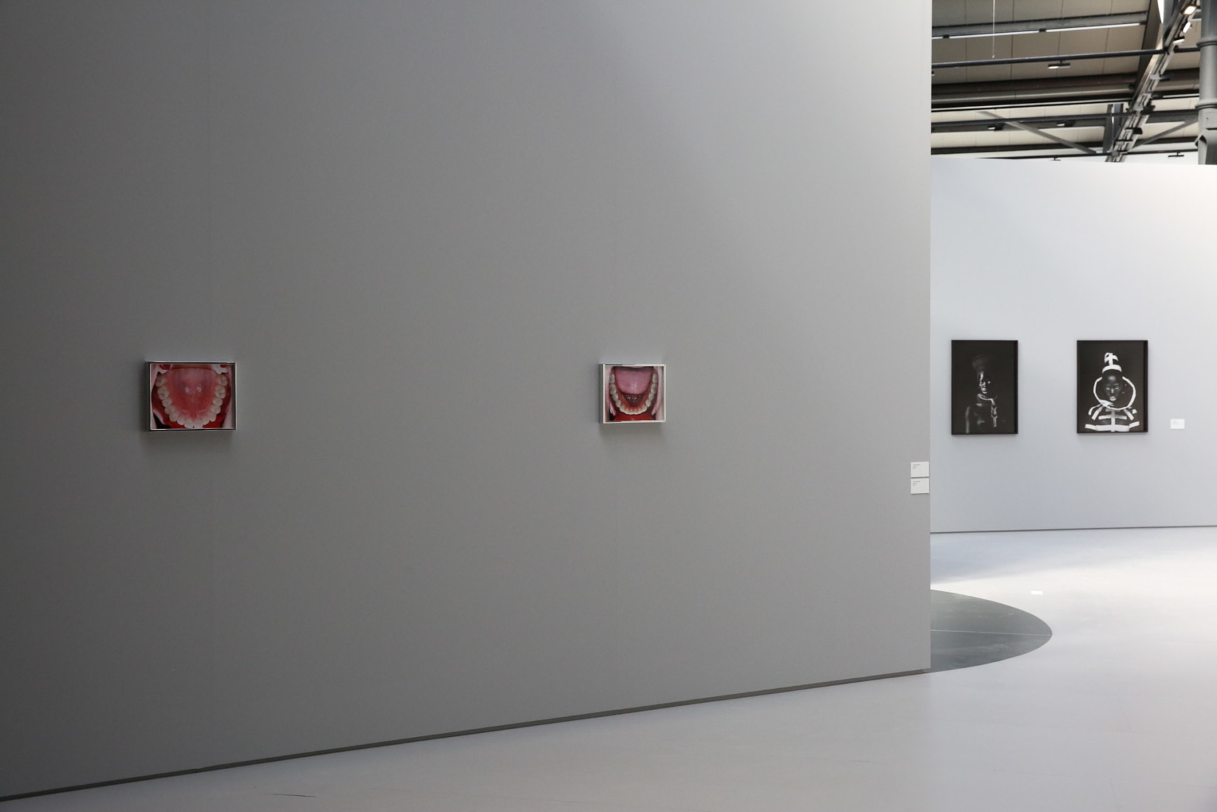 Elad Lassry: Untitled