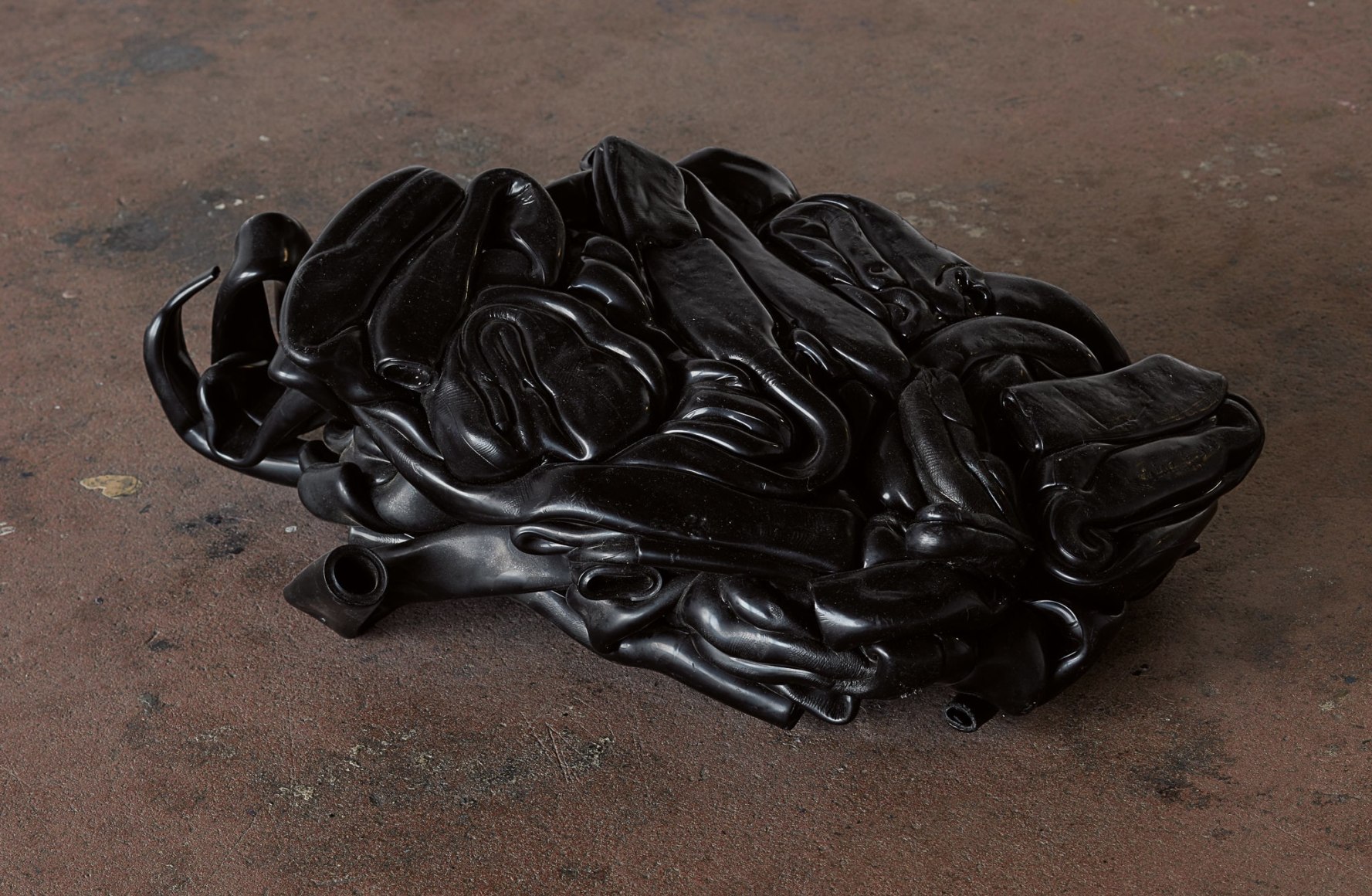 Nina Canell, Installation view: Dolphin Dandelion, Le Crédac, Paris Ivry-sur-Seine, 2017